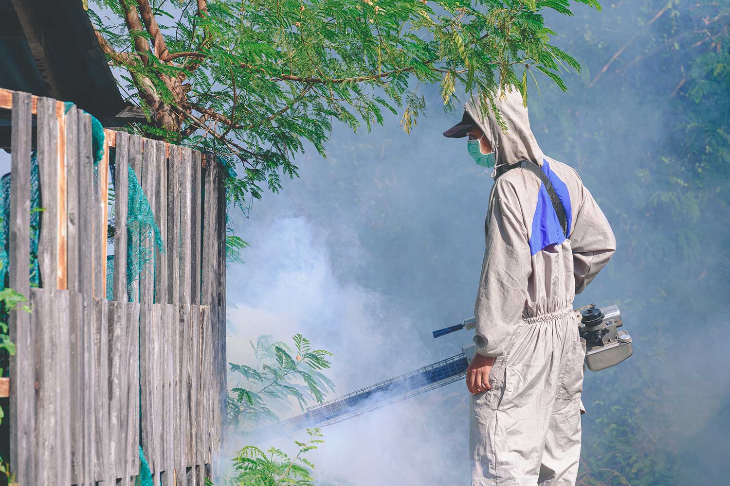 Fumigación de moscas en Puebla